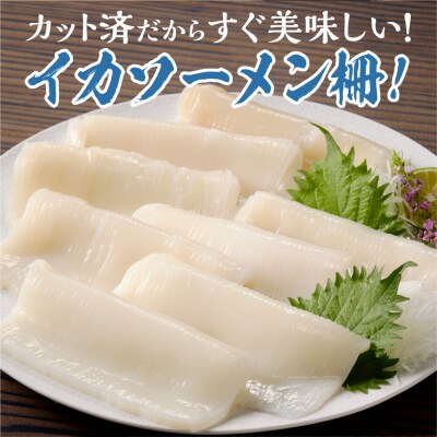 手軽さ満点!お刺身シリーズ!いかソーメン 2パックセット_hs408-131