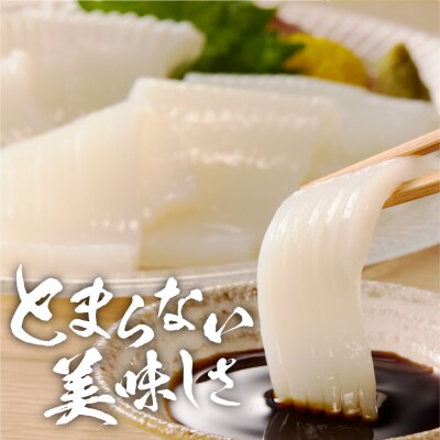手軽さ満点!お刺身シリーズ!いかソーメン 4パックセット_hs408-132