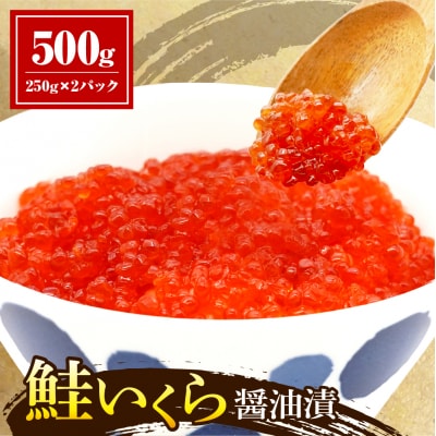 鮭いくら醤油漬け500g【er018-062-s】