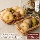 【定期便6回】自家製天然酵母のベーグルセット【パンと器のコネル】(H094121)