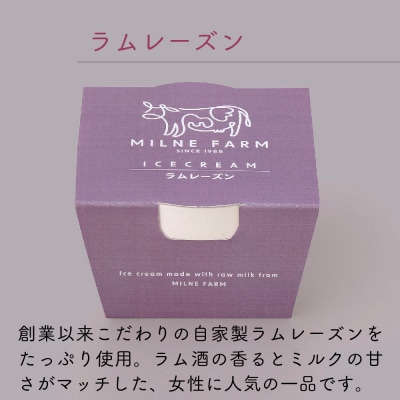 佐賀脊振高原ミルン牧場のアイスクリーム48個セット(H102124)