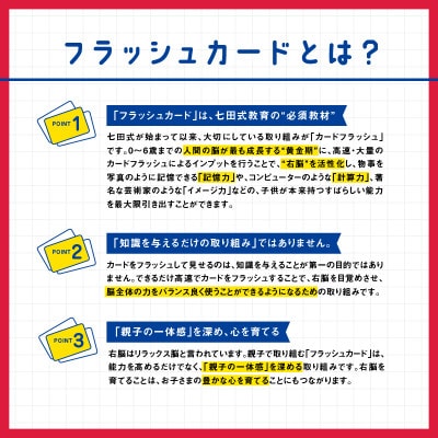 七田式 計算力を引き出す〜七田式ドッツセット （七田式 ドッツ
