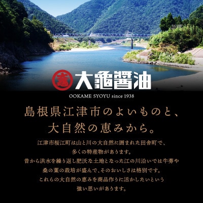 大亀醤油　濃口うす塩醤油　1L×2本(2セット)