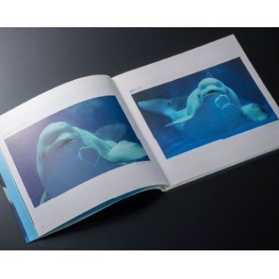 AQUAS アクアスの仲間たち 小林茂雄写真集