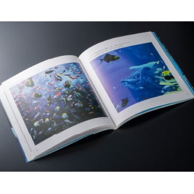 AQUAS アクアスの仲間たち 小林茂雄写真集