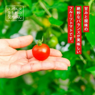 【4月下旬～6月発送】スパルタ生まれのひみこ&笑ちゃん約2kg