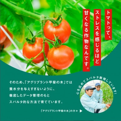 【4月下旬～6月発送】スパルタ生まれのひみこ&笑ちゃん約2kg