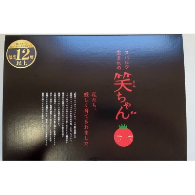 【先行予約】☆糖度12度以上で選果☆厳選 スパルタ生まれの笑ちゃんトマト 1kg