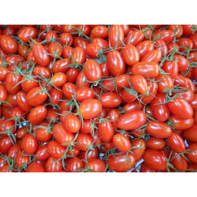 ☆糖度12度以上 厳選 スパルタ生まれのひみこ(ミニトマト)  1kg入り