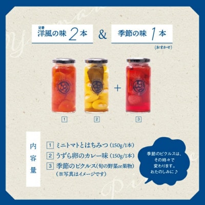 【やまあいピクルス】素材を生かした手作りピクルス 定番洋風2本+季節1本(おまかせ)