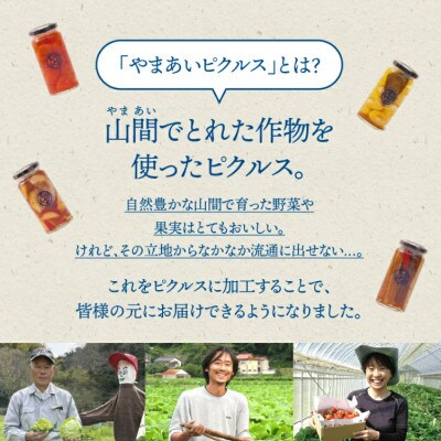 【やまあいピクルス】素材を生かした手作りピクルス 定番4本+季節1本(おまかせ)