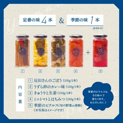 【毎月定期便】やまあいピクルス 定番4本+季節1本(おまかせ)全3回