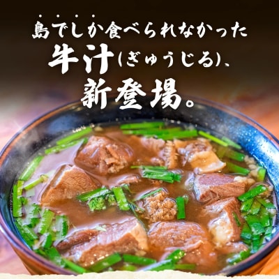 【先行受付:2024年12月以降配送】石垣島名物　あらかわ食堂　牛汁 2パック(450g×2) 