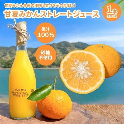 甘夏みかんストレートジュース_S162-002