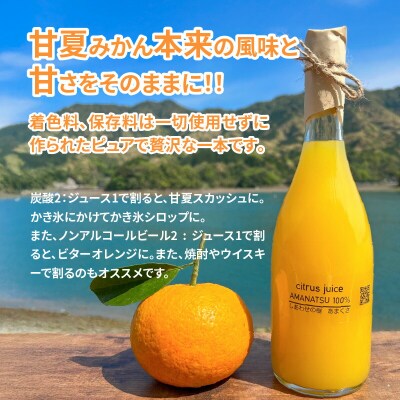 甘夏みかんストレートジュース_S162-002