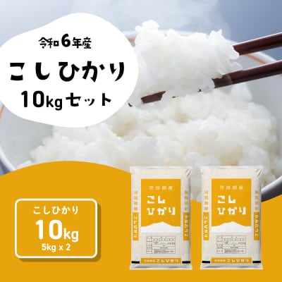 令和6年産茨城県産コシヒカリ 精米 10kg (5kg×2袋)