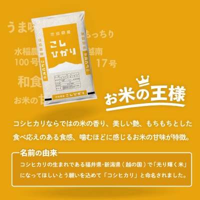 令和6年産茨城県産コシヒカリ 精米 10kg (5kg×2袋)