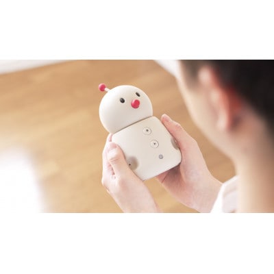 未来のファミリーロボット BOCCO emo　1台