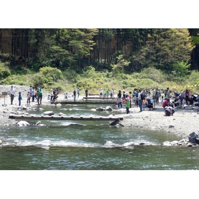 奥多摩フィッシングセンター　川釣り餌釣り利用券　1人分【ブドウ虫付】