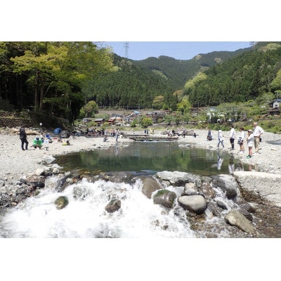 奥多摩フィッシングセンター　川釣り餌釣り利用券　1人分【ブドウ虫付】