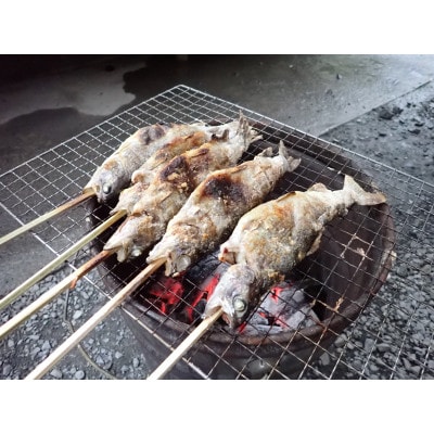 奥多摩フィッシングセンター　川釣り餌釣り利用券　1人分【ブドウ虫付】