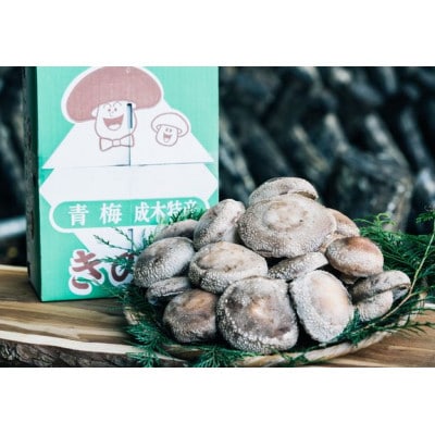 原木栽培生椎茸　ご贈答品　約1kg