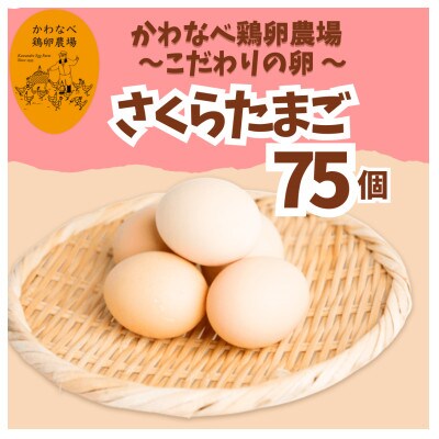 かわなべ鶏卵農場のこだわりのたまご【さくらたまご】(Lサイズ)×75個