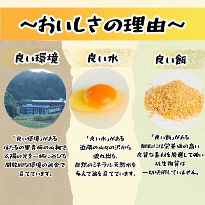 かわなべ鶏卵農場のこだわりのたまご【もみじたまご】(Lサイズ)×75個
