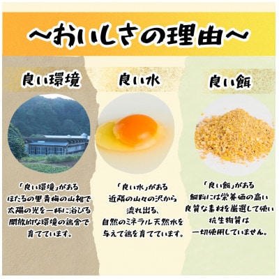 かわなべ鶏卵農場のこだわりのたまご【さくらたまご】(Lサイズ)×50個