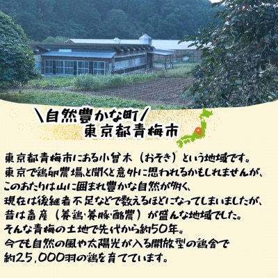 かわなべ鶏卵農場のこだわりのたまご【もみじたまご】(Lサイズ)×50個