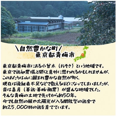 かわなべ鶏卵農場のこだわりのたまご【もみじたまご】(Lサイズ)×30個