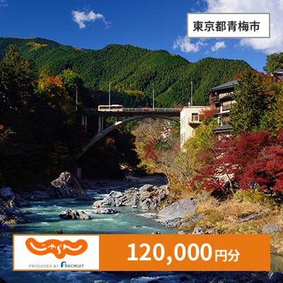 【じゃらんふるさと納税クーポン】 東京都青梅市でつかえる120,000円 クーポン