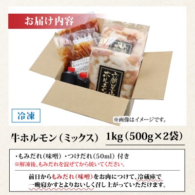 ホルモンの老舗 六間星山の牛ホルモン(ミックス)500g×2袋 計1kg