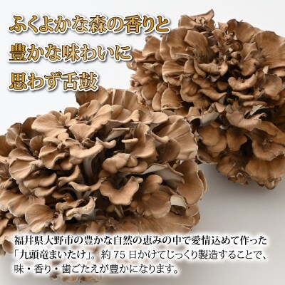 九頭竜まいたけ 2株入り