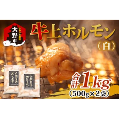 ホルモンの老舗 六間星山の牛上ホルモン(白)500g×2袋 計1kg 