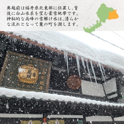 【3ヶ月連続お届け】奥越前の水 PET2L×6本 計3回 