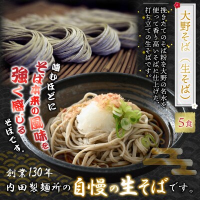 越前大野産 石臼挽き 越前そば 生そば5食 + きしめん6食(つゆ付)