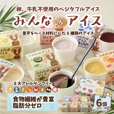 みんなのアイス6個セット( 卵・牛乳・小麦等アレルギー特定原材料8品目不使用のアイス) 