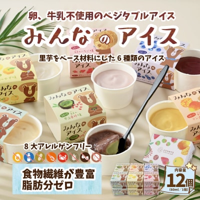みんなのアイス 12個セット( 卵・牛乳・小麦等アレルギー特定原材料8品目不使用のアイス )