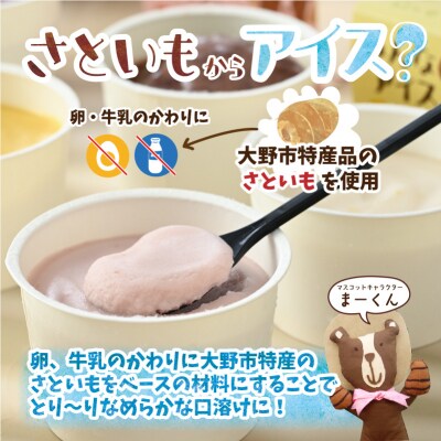 みんなのアイス 12個セット( 卵・牛乳・小麦等アレルギー特定原材料8品目不使用のアイス )