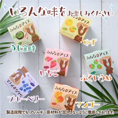 みんなのアイス 12個セット( 卵・牛乳・小麦等アレルギー特定原材料8品目不使用のアイス )