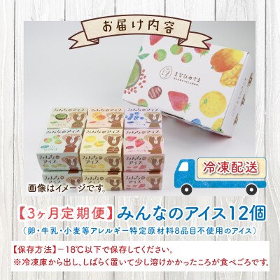 【3ヶ月定期便】 みんなのアイス 12個セット ( アレルギー特定原材料8品目不使用アイス ) 