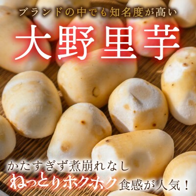【先行予約】簡単手間なし!冷凍のまま調理!大野の里芋の洗い子 1kg × 2袋 計2kg (冷凍)