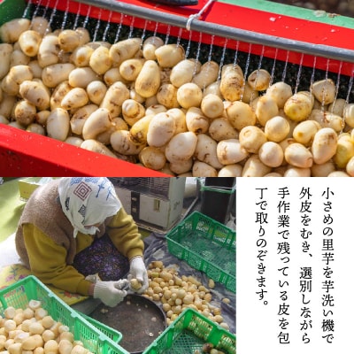 簡単手間なし!冷凍のまま調理!大野の里芋の洗い子 1kg × 2袋 計2kg (冷凍)