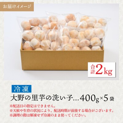 簡単手間なし!冷凍のまま調理!大野の里芋の洗い子 400g × 5袋 計2kg (冷凍)