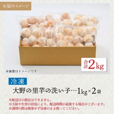 【先行予約】簡単手間なし!冷凍のまま調理!大野の里芋の洗い子 1kg × 2袋 計2kg (冷凍)