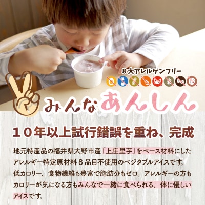 【3ヶ月定期便】 みんなの アイス 6個セット( アレルギー特定原材料8品目不使用 )