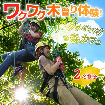 ワクワク 木登り体験!ツリークライング&森カフェ2名様分
