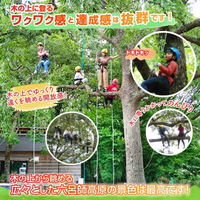 ワクワク 木登り体験!ツリークライング&森カフェ2名様分