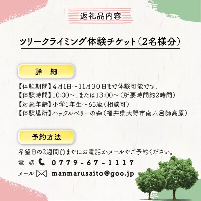 ワクワク 木登り体験!ツリークライング&森カフェ2名様分